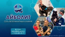 Ветеринарная клиника Айболит на улице Голубые дали (мкр. Адлер) изображение 9