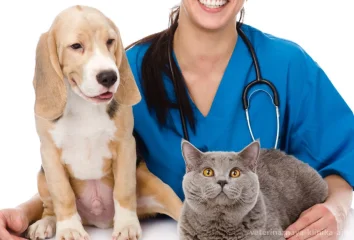программа «Стоп-РАК» для собак и кошек со скидкой 20%