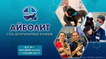 Ветеринарная клиника Айболит на улице Голубые дали (мкр. Адлер) изображение 9