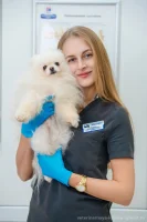 Еськова Дарья Дмитриевна